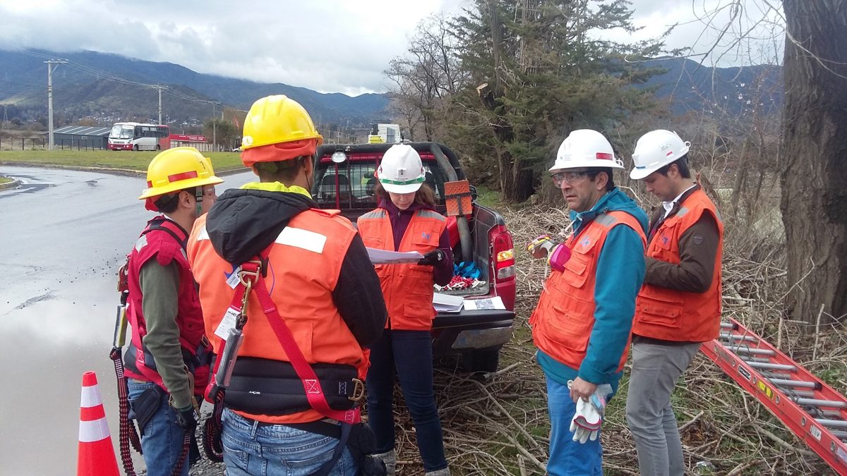 Equipo revisando antecedentes en terreno