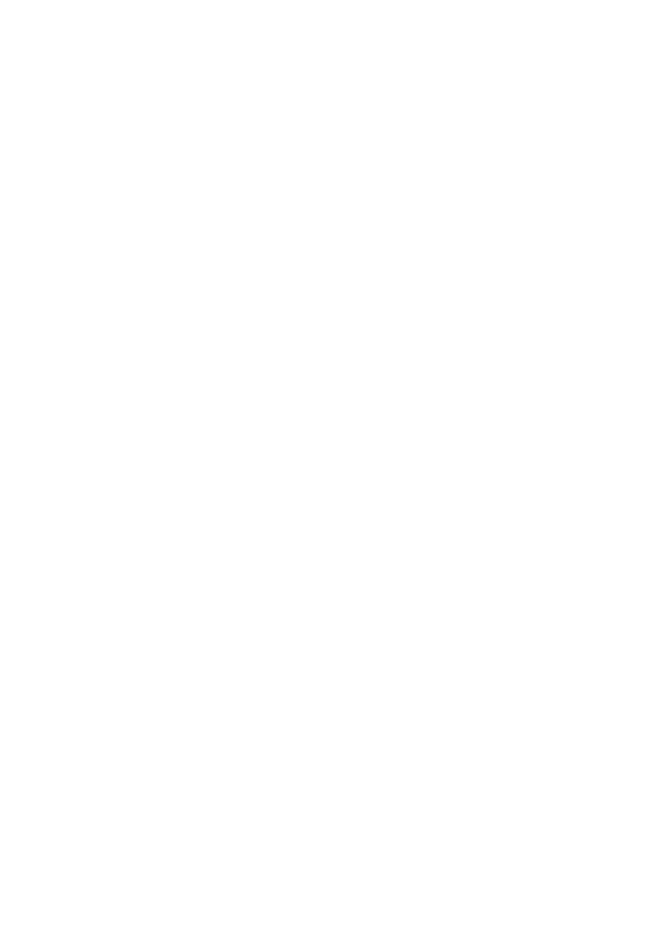 STLTDA